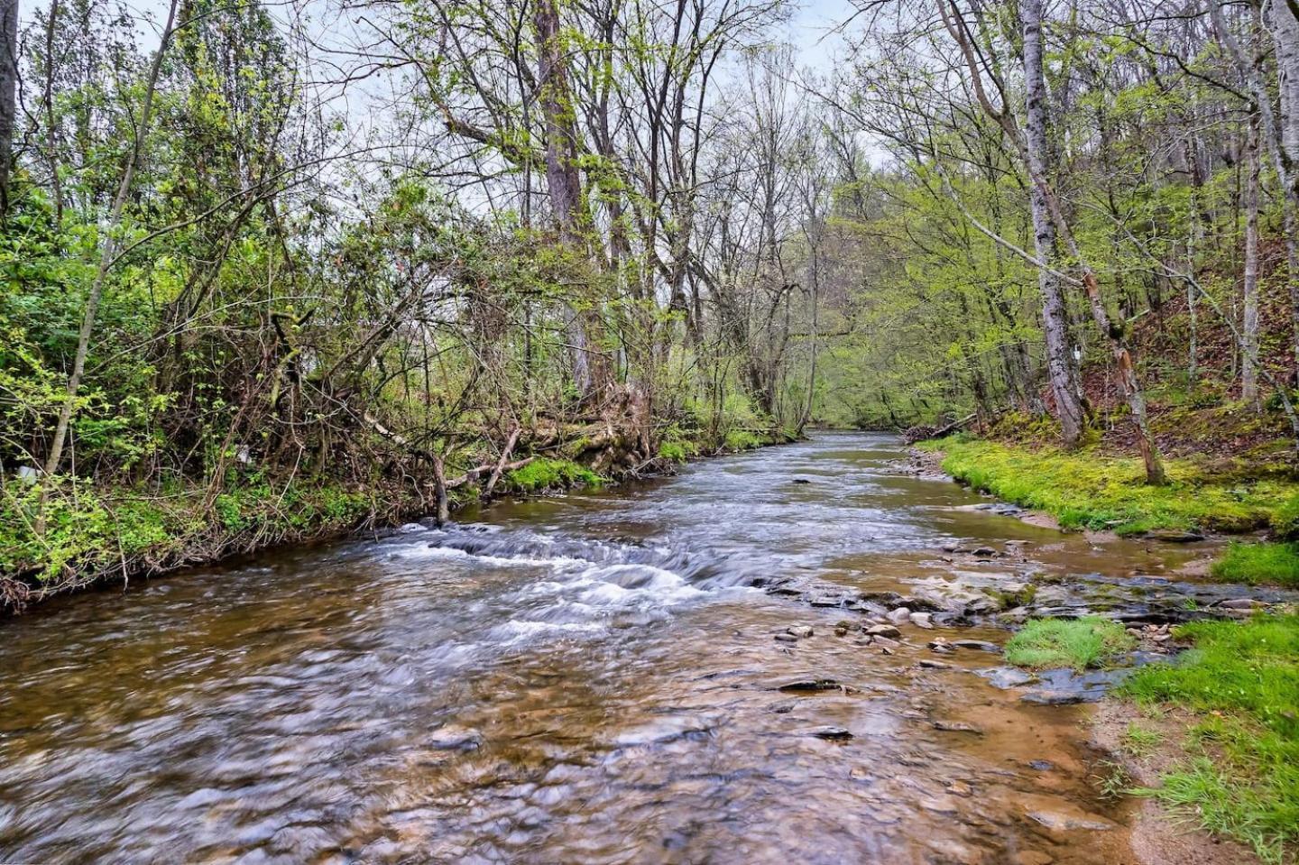 1 Mile To Pkwy, Pets, Hot Tub, Creekside, Porch Villa Pigeon Forge Dış mekan fotoğraf