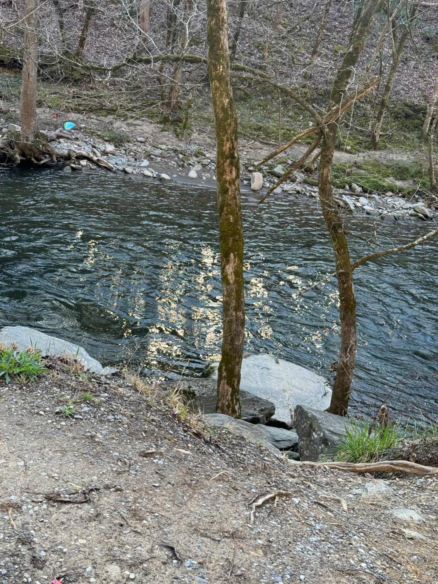 1 Mile To Pkwy, Pets, Hot Tub, Creekside, Porch Villa Pigeon Forge Dış mekan fotoğraf